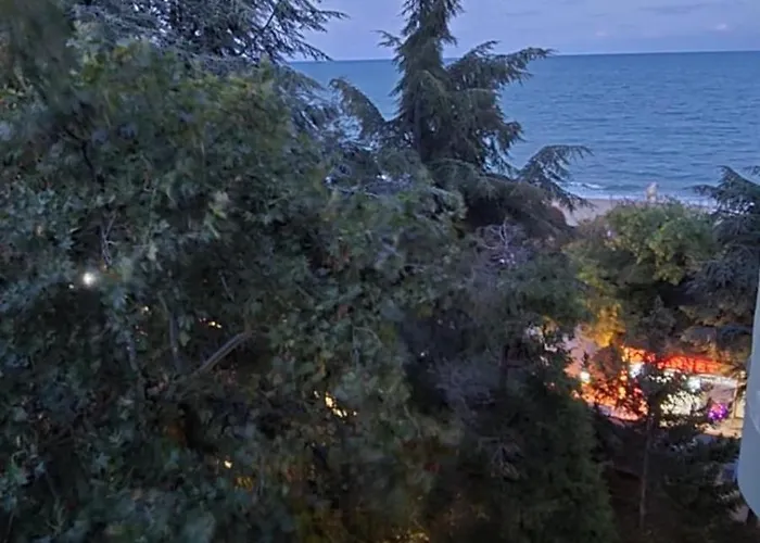 66 Apartment Golden Sands